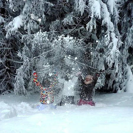 Rezidencia Oliver - 16a *