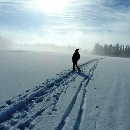 Apartmán Rezidencia Oliver - 16a Strbske Pleso