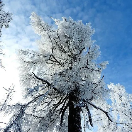 Apartmán Rezidencia Oliver - 16a